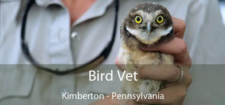 Bird Vet Kimberton - Pennsylvania