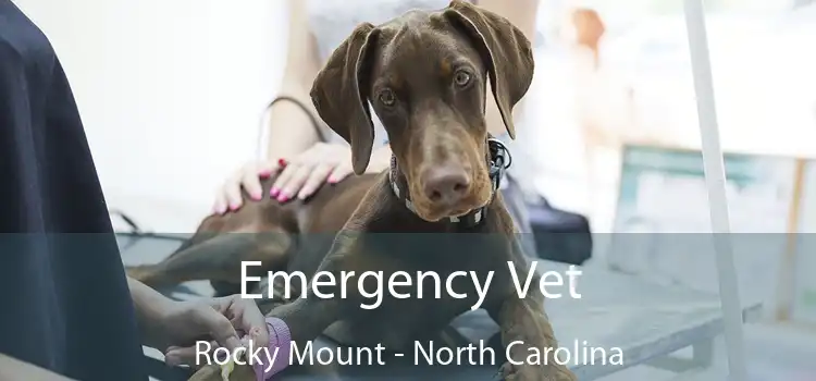 Emergency Vet Rocky Mount - North Carolina