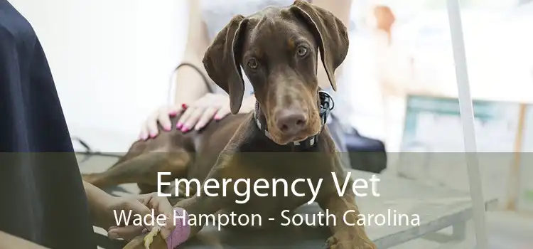 Emergency Vet Wade Hampton - South Carolina