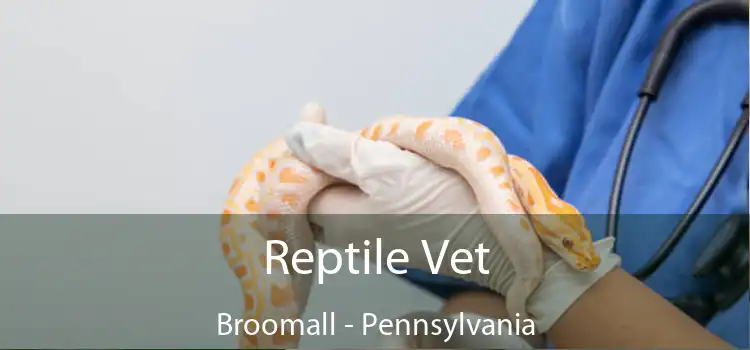 Reptile Vet Broomall - Pennsylvania