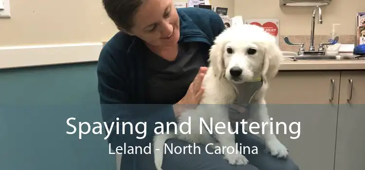 Spaying and Neutering Leland - North Carolina
