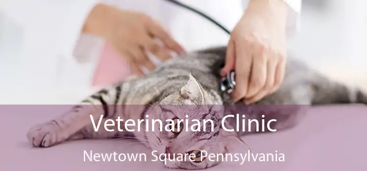 Veterinarian Clinic Newtown Square Pennsylvania